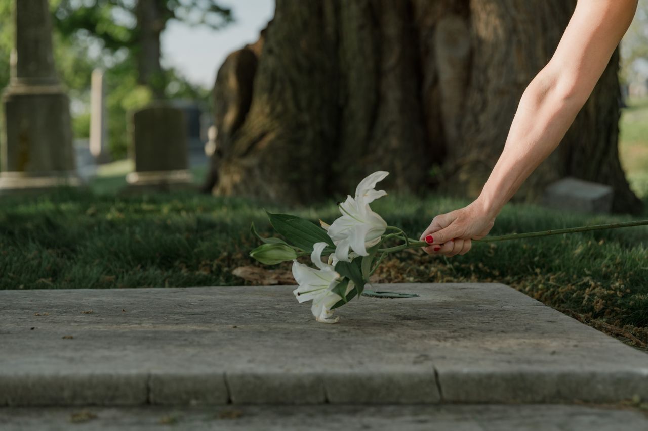 Grief, Loss & Life Transitions in Los Angeles